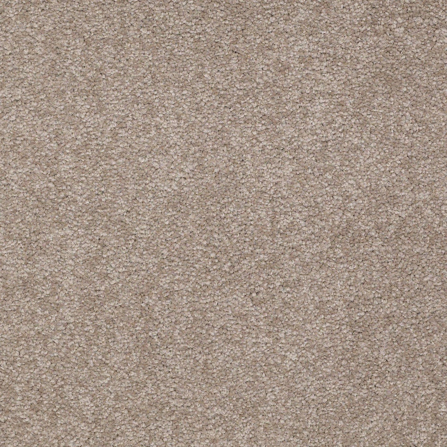 TEXTURE BCF