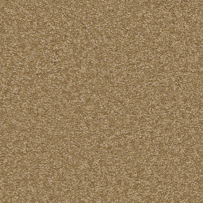 TEXTURE BCF
