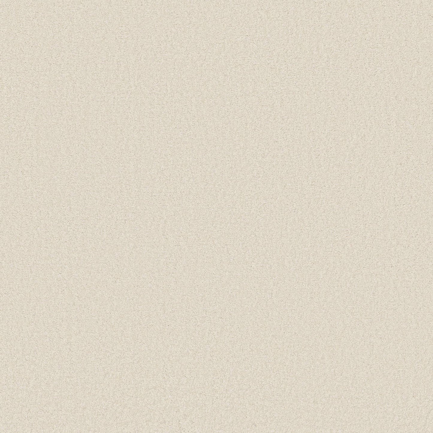 TEXTURE BCF