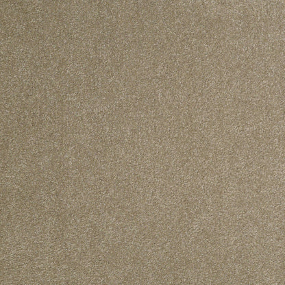 TEXTURE BCF
