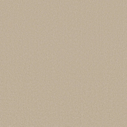 TEXTURE BCF