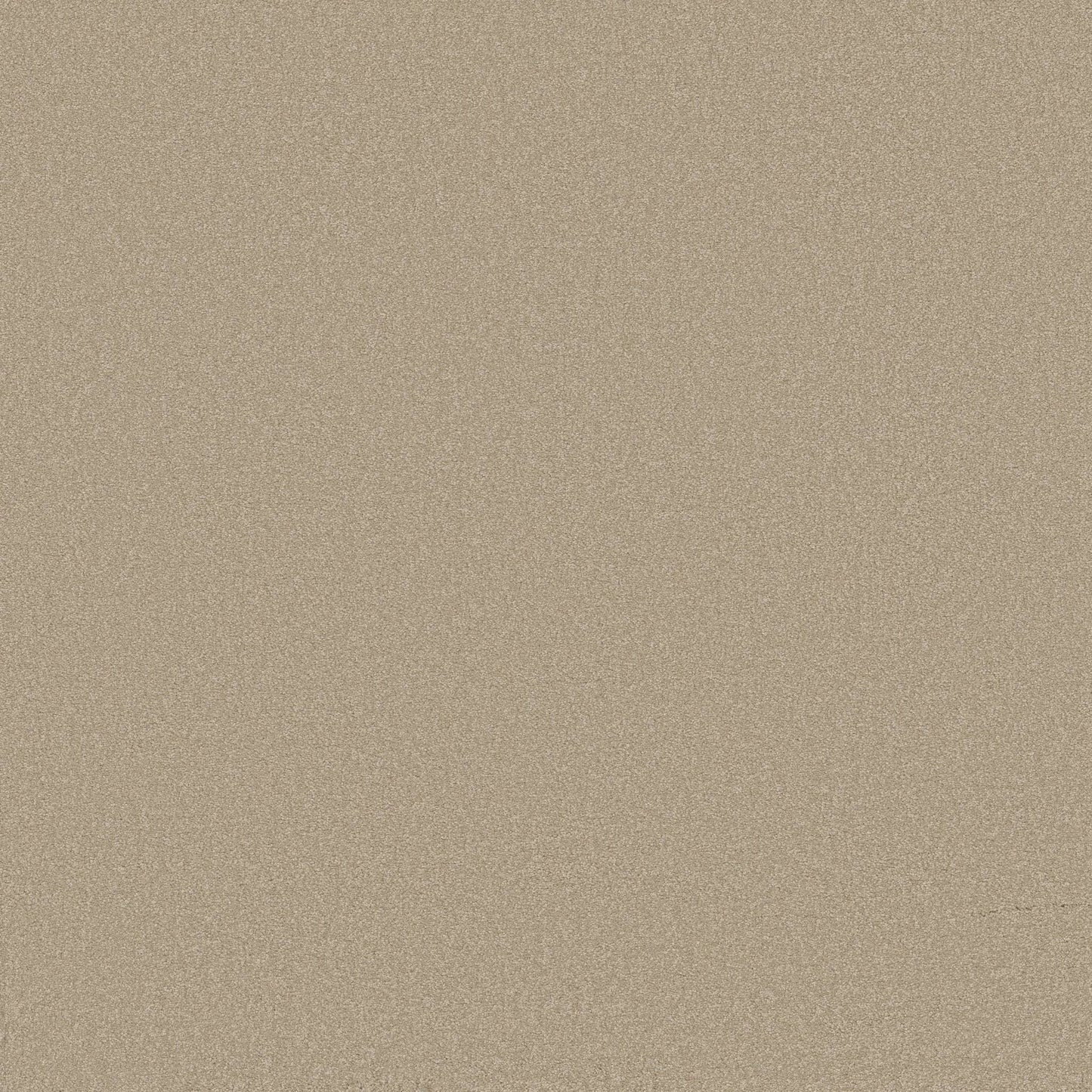 TEXTURE BCF