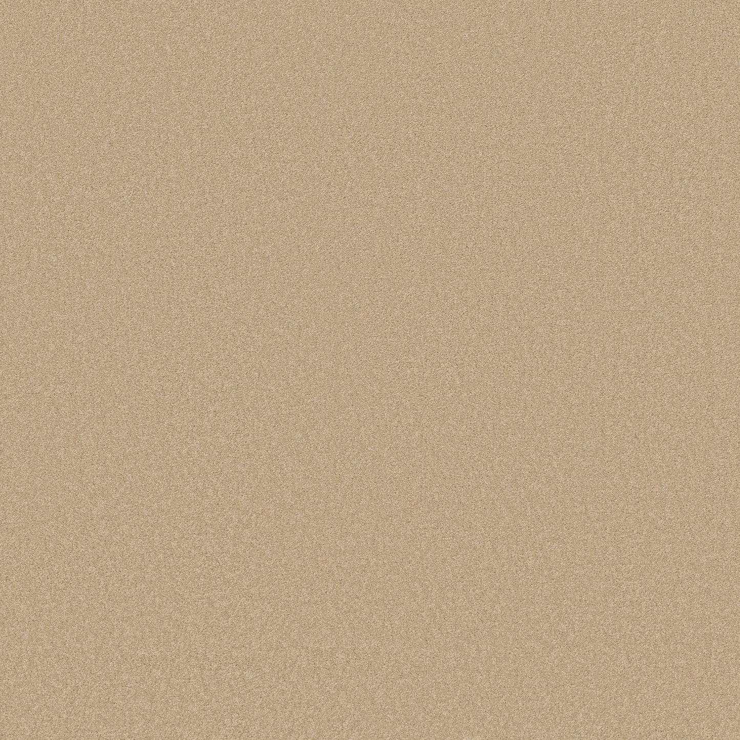 TEXTURE BCF