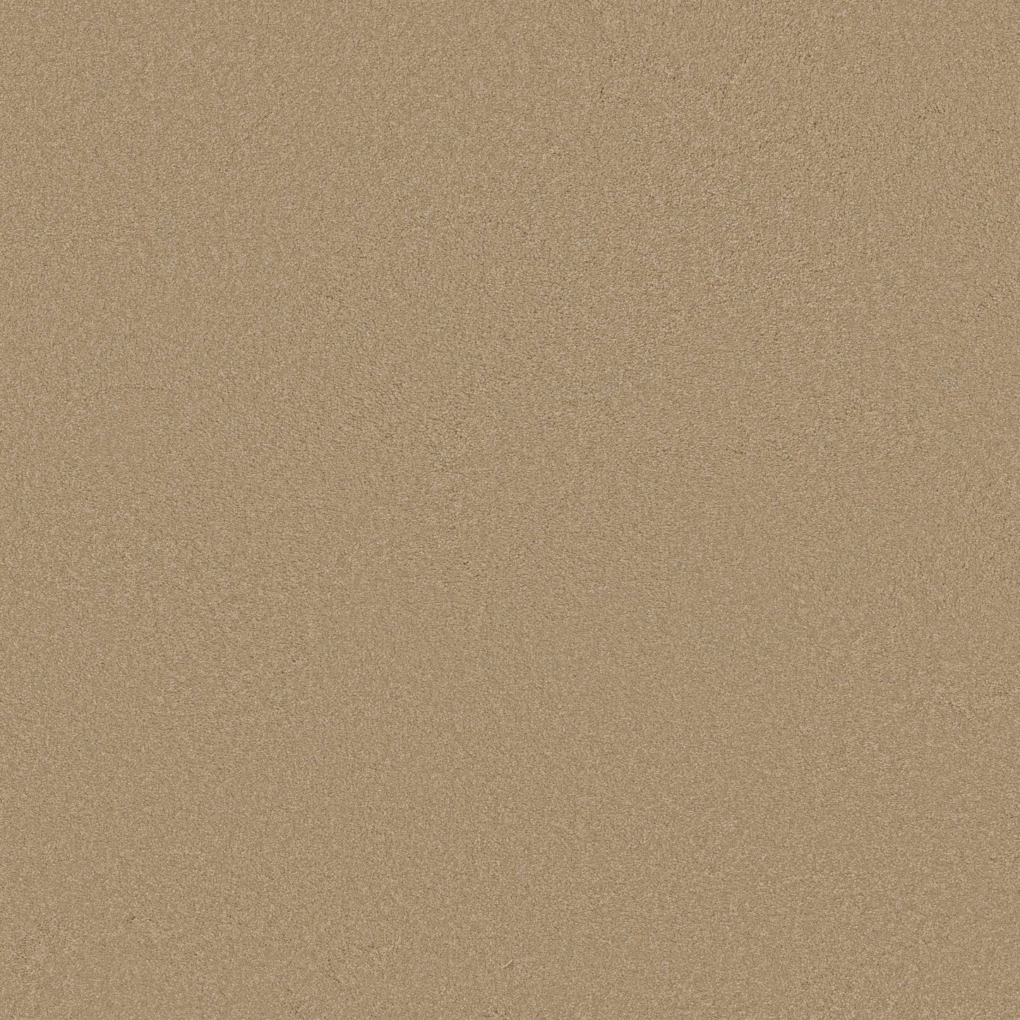 TEXTURE BCF