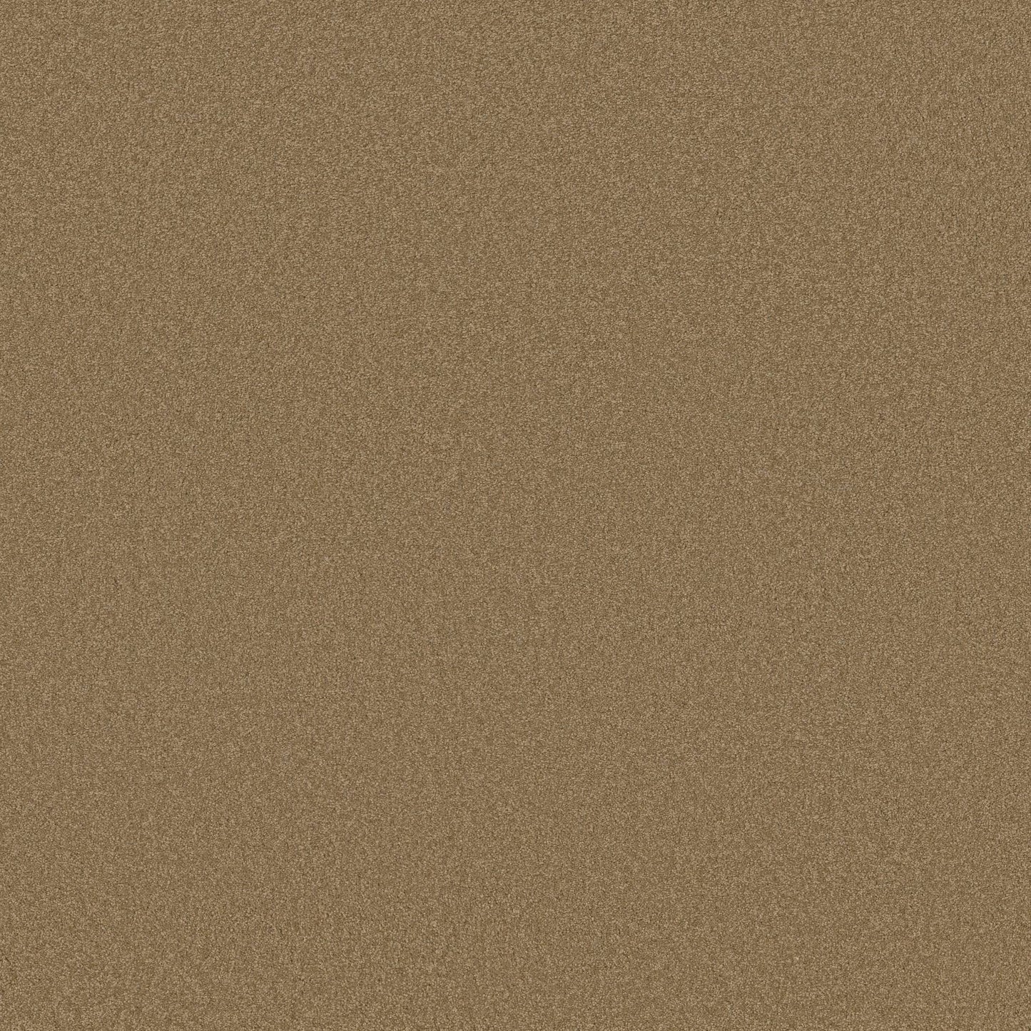 TEXTURE BCF