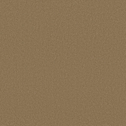 TEXTURE BCF