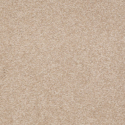 TEXTURE BCF