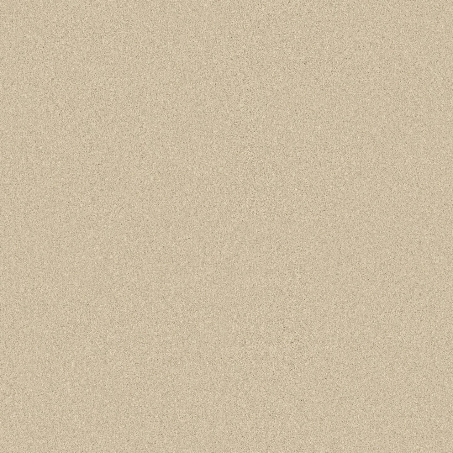 TEXTURE BCF