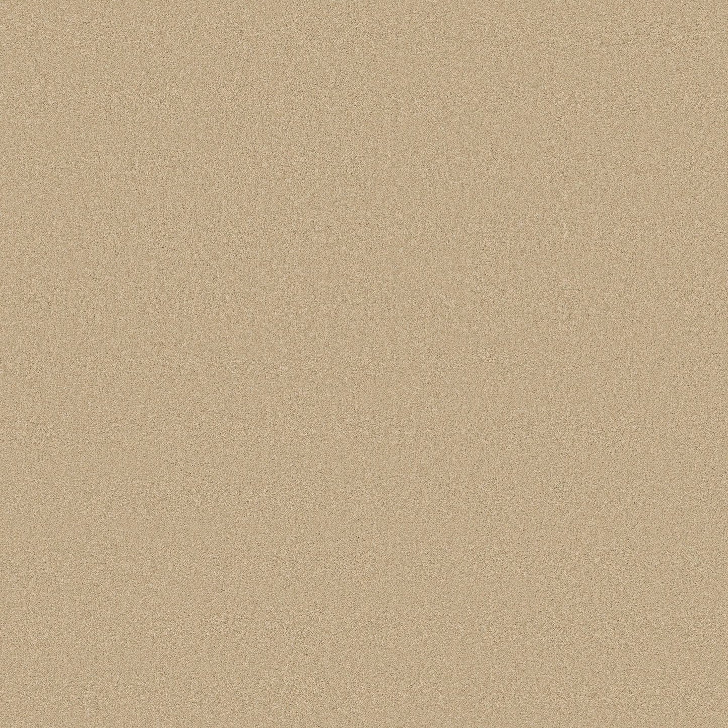 TEXTURE BCF