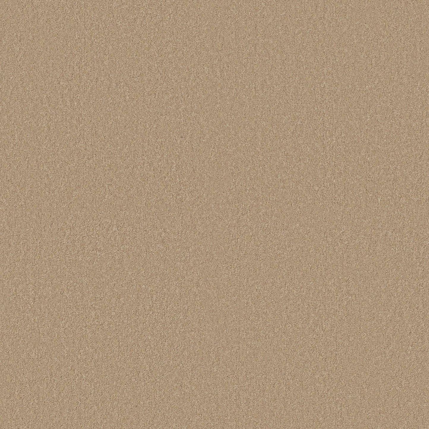 TEXTURE BCF
