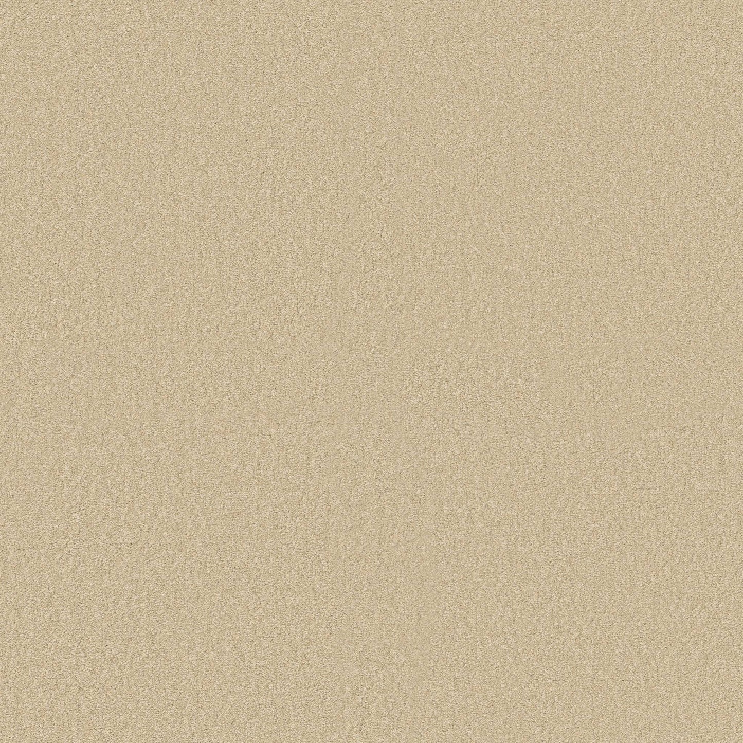 TEXTURE BCF