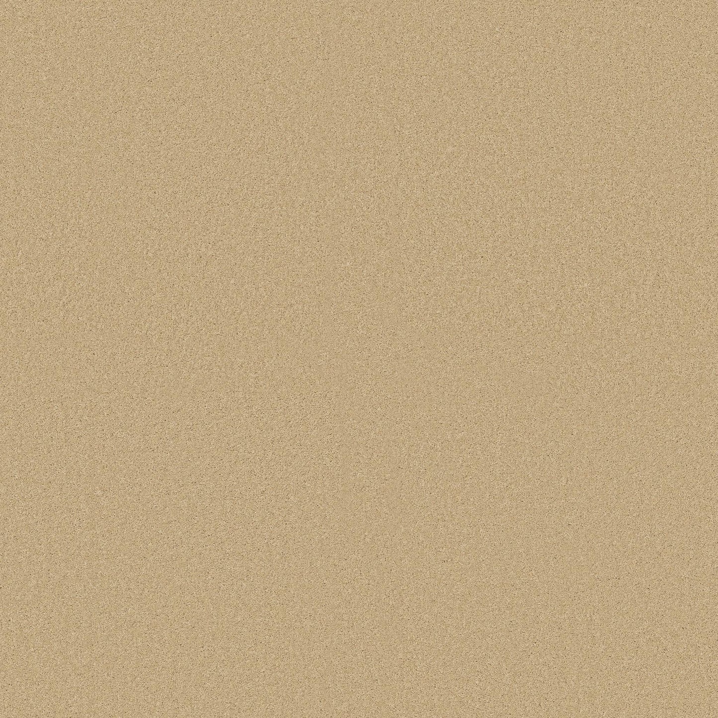 TEXTURE BCF