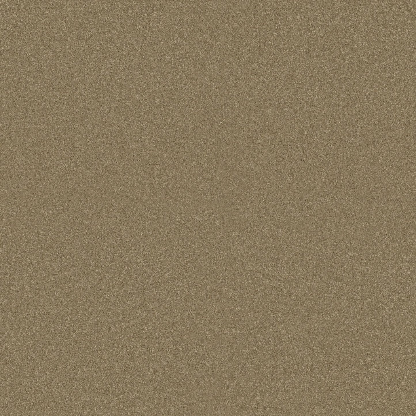 TEXTURE BCF