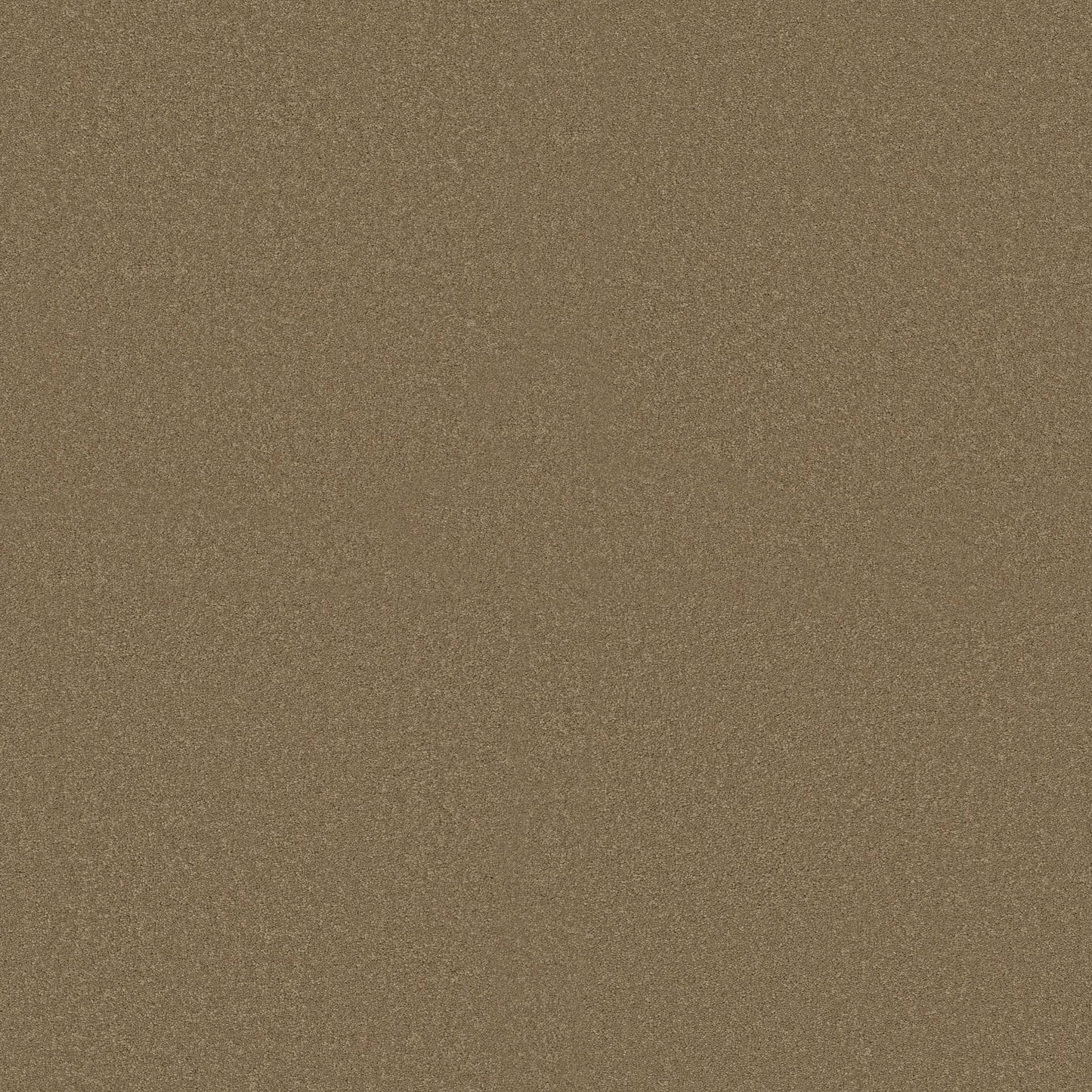 TEXTURE BCF