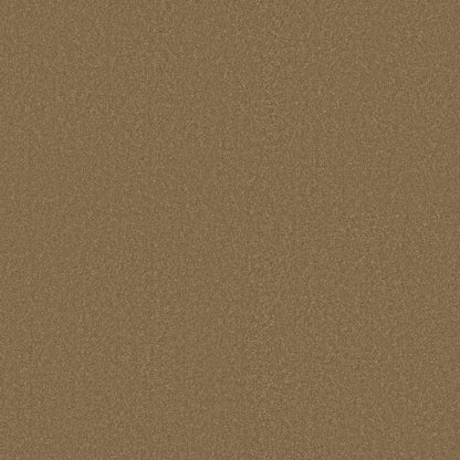 TEXTURE BCF