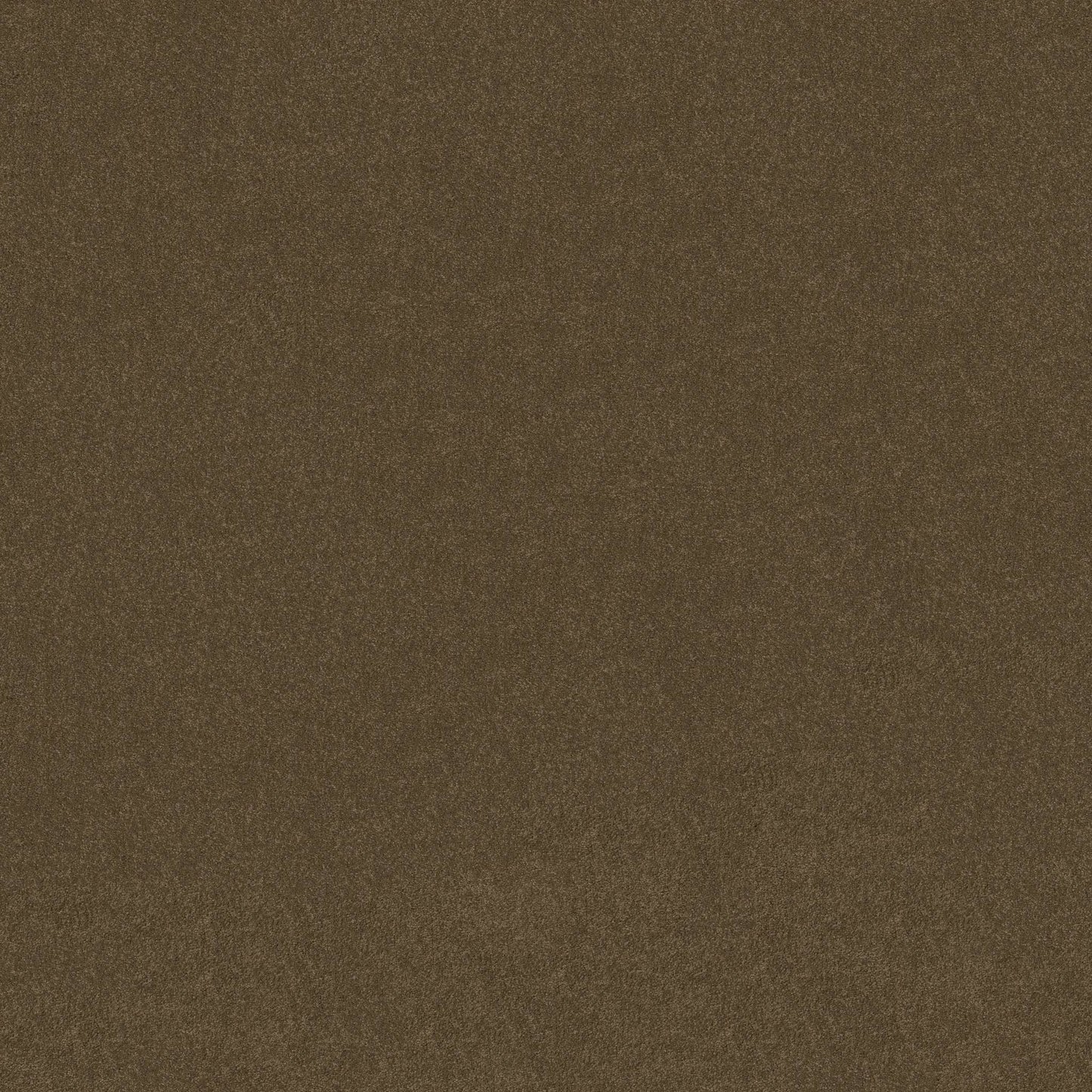 TEXTURE BCF