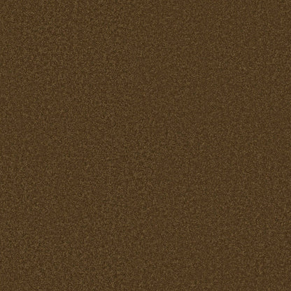 TEXTURE BCF