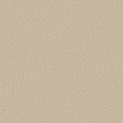 TEXTURE BCF