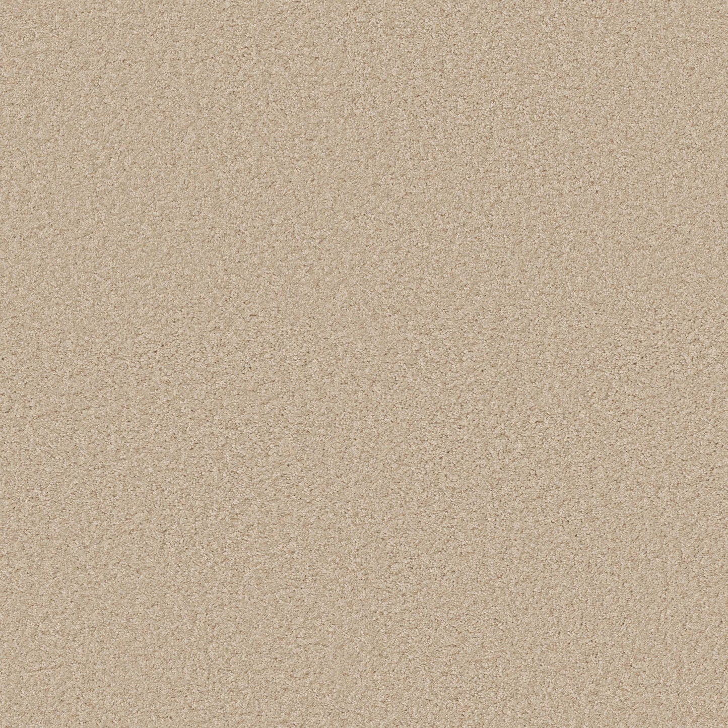 TEXTURE BCF