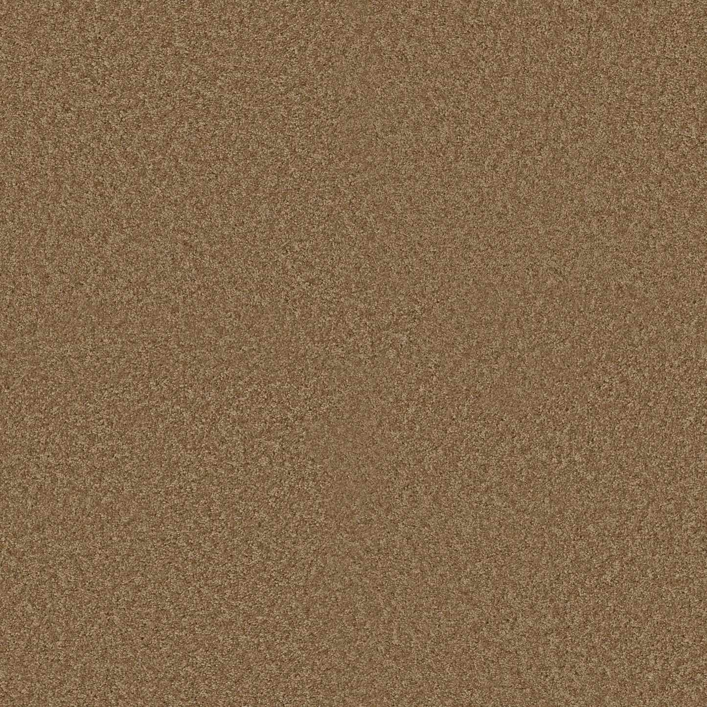 TEXTURE BCF