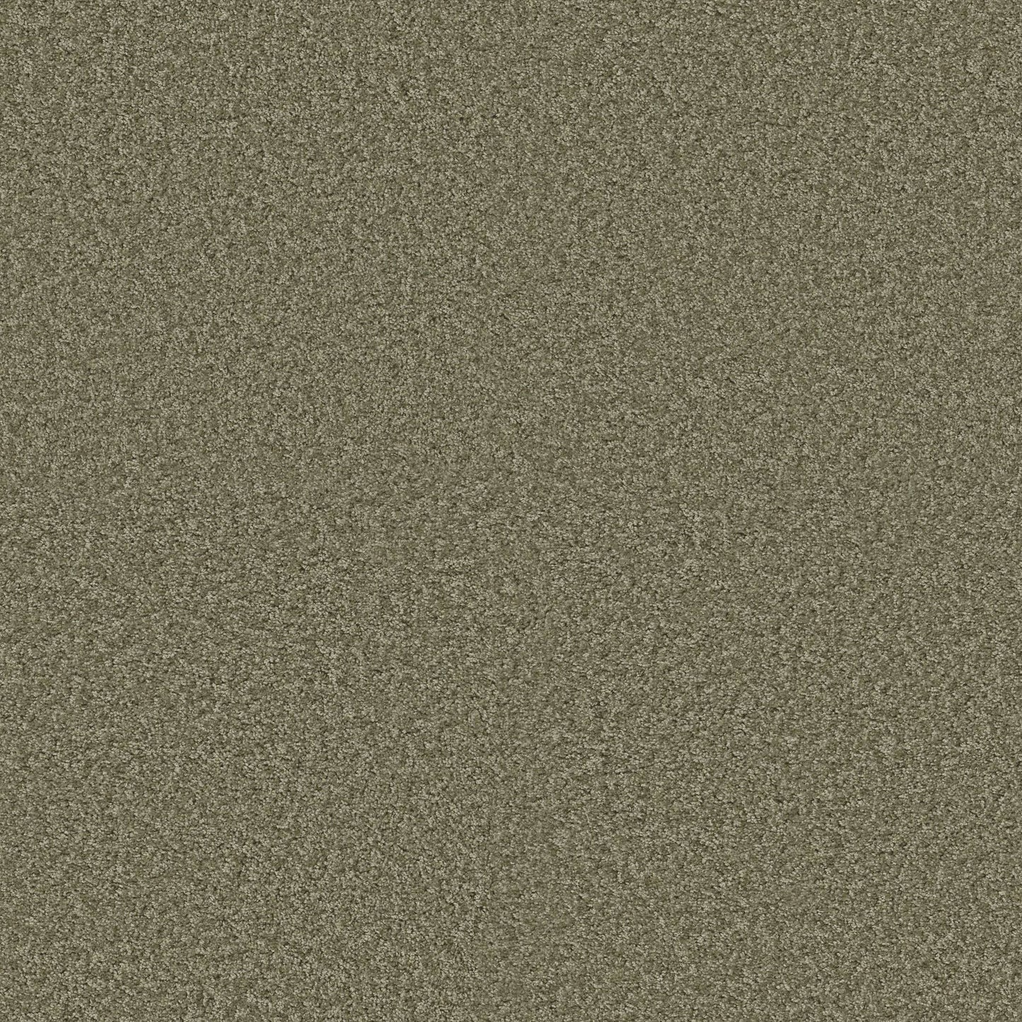 TEXTURE BCF