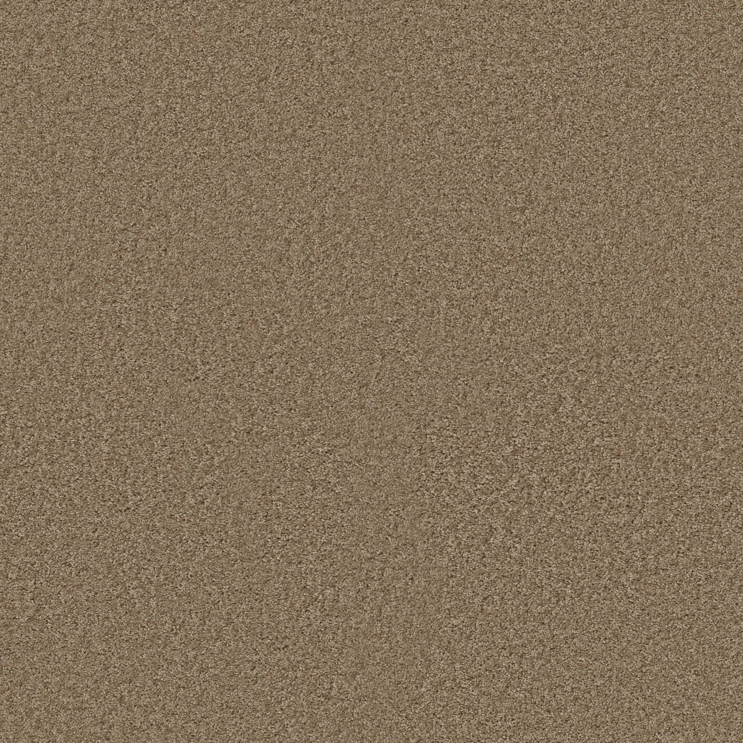 TEXTURE BCF