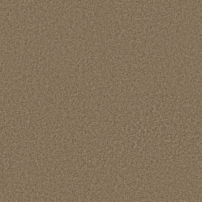 TEXTURE BCF