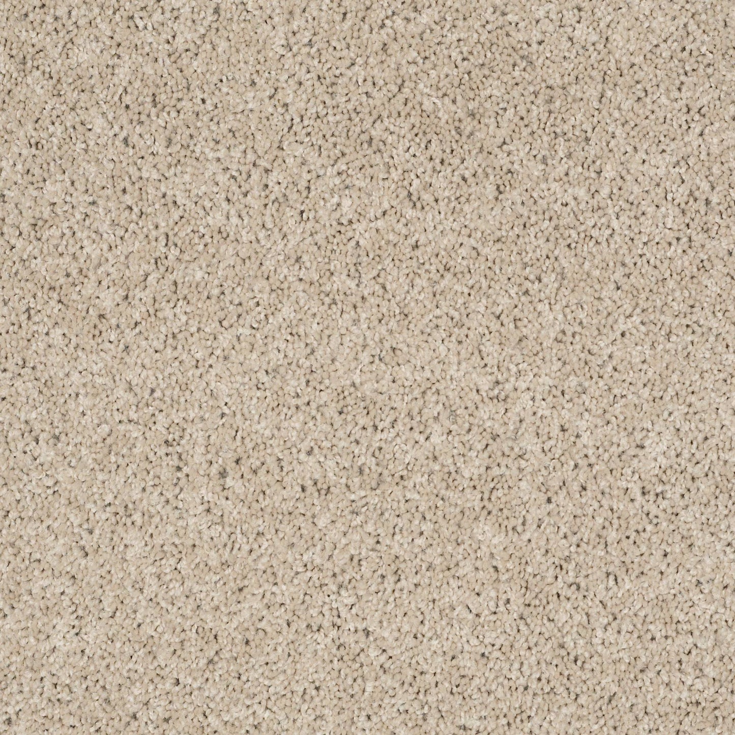 TEXTURE BCF
