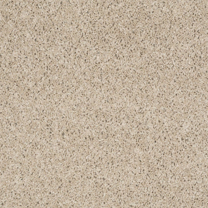 TEXTURE BCF
