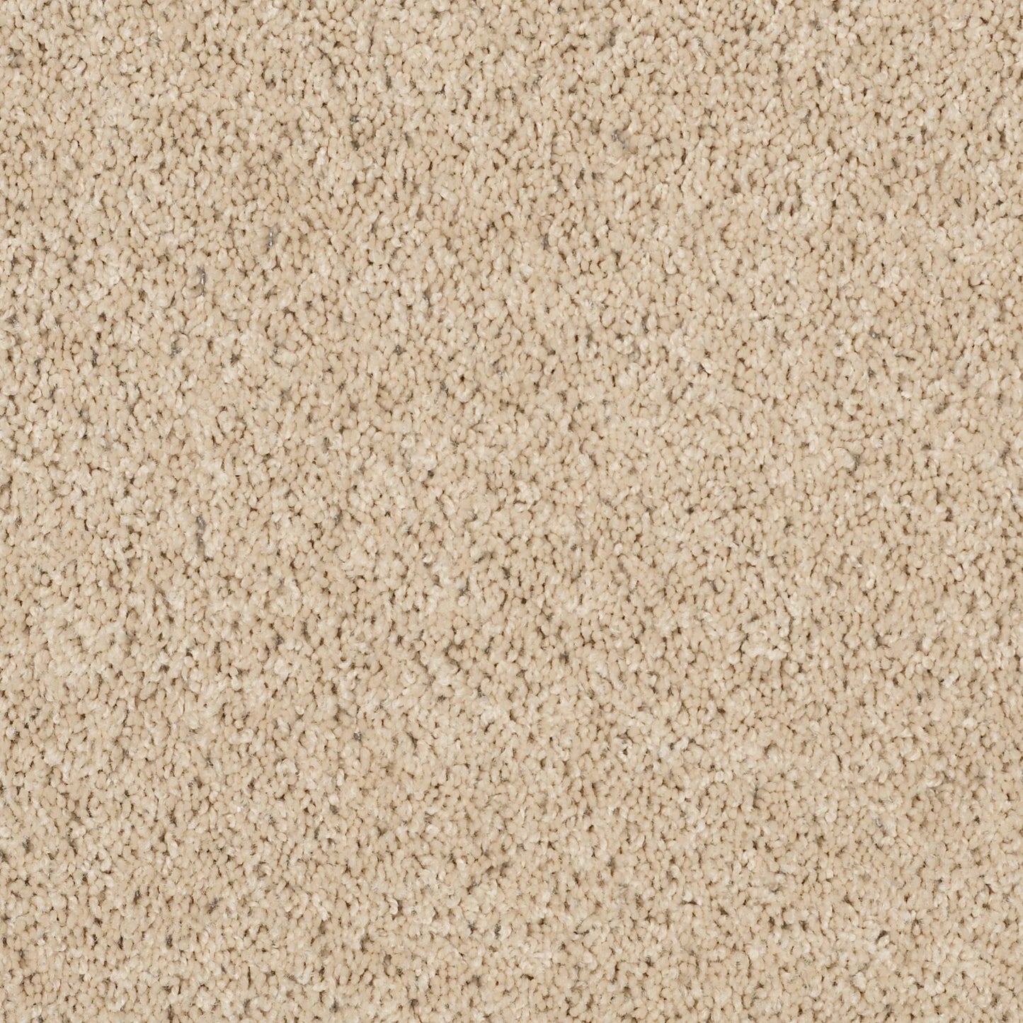 TEXTURE BCF
