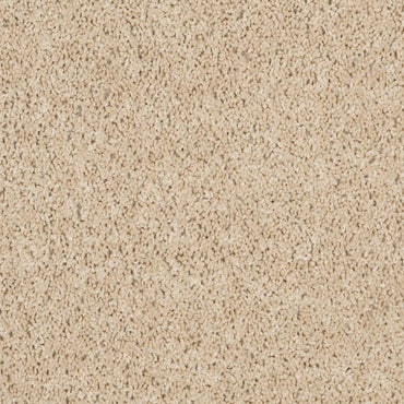 TEXTURE BCF