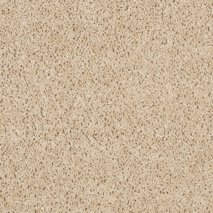 TEXTURE BCF