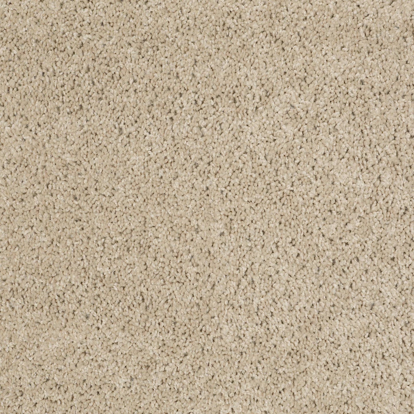 TEXTURE BCF