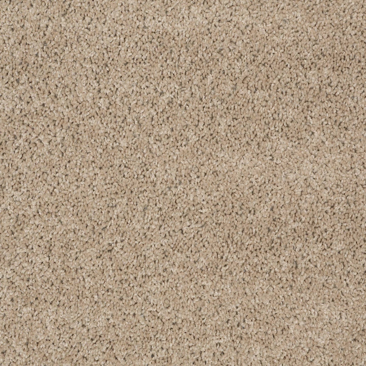 TEXTURE BCF