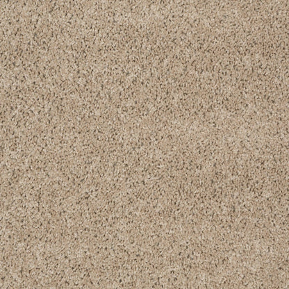 TEXTURE BCF