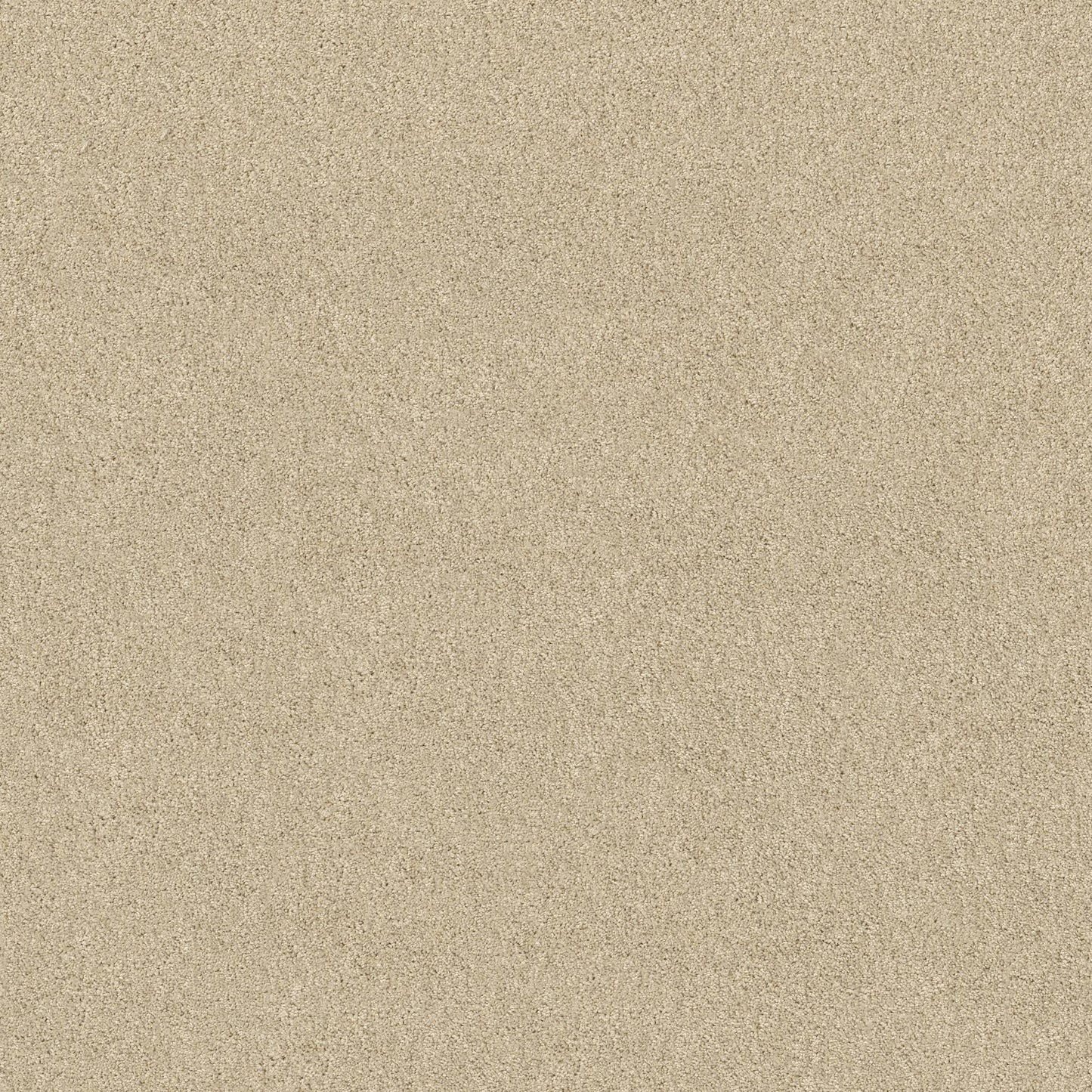 TEXTURE BCF