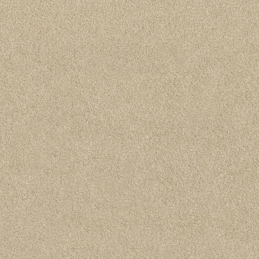TEXTURE BCF
