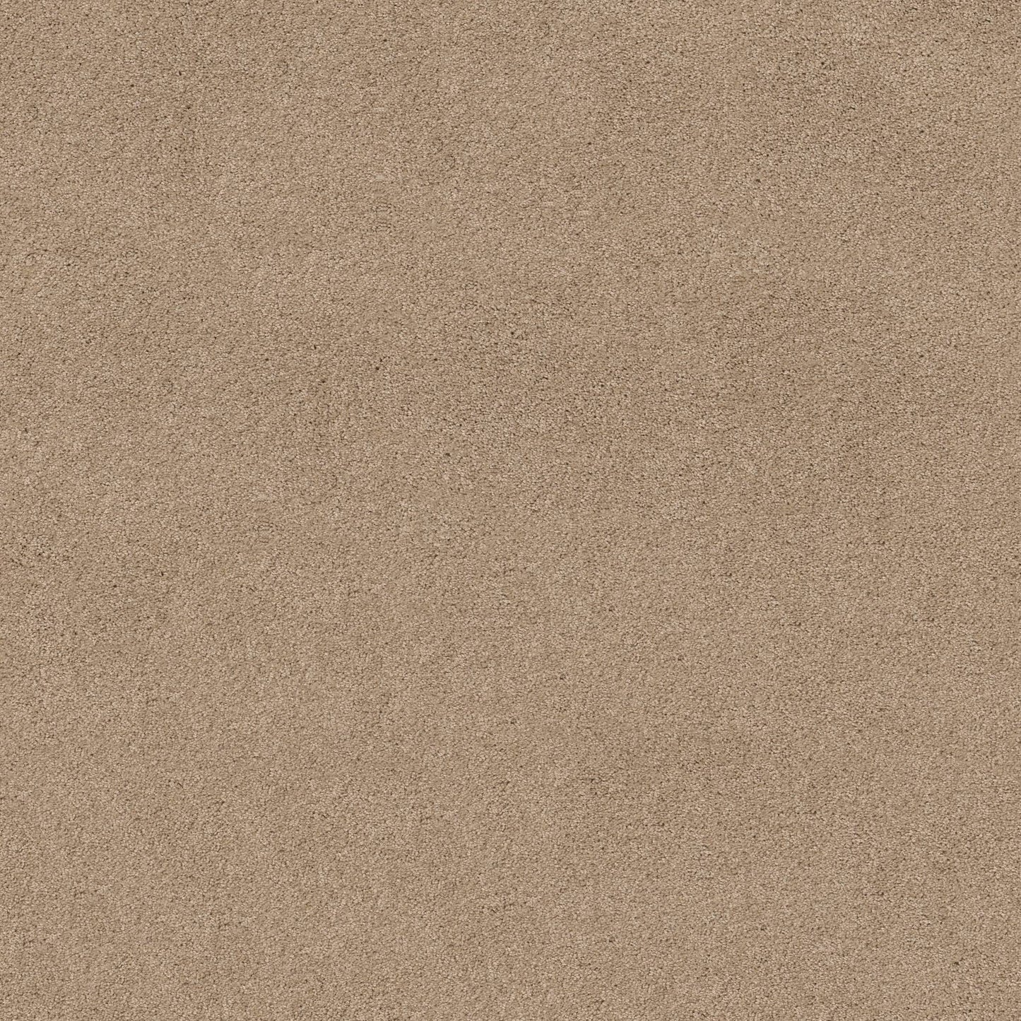 TEXTURE BCF
