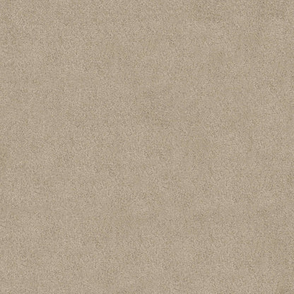 TEXTURE BCF