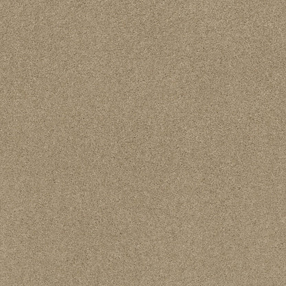 TEXTURE BCF