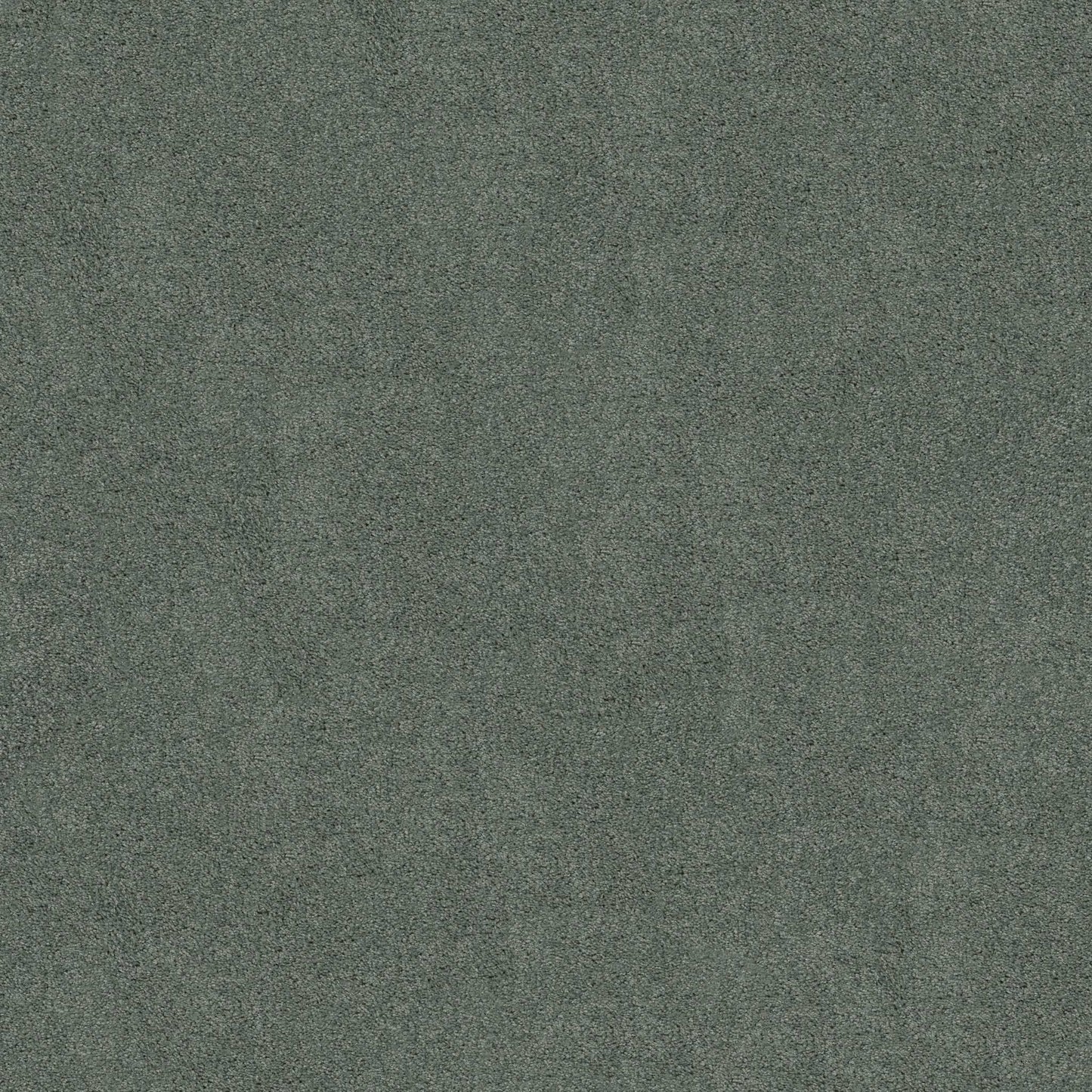 TEXTURE BCF