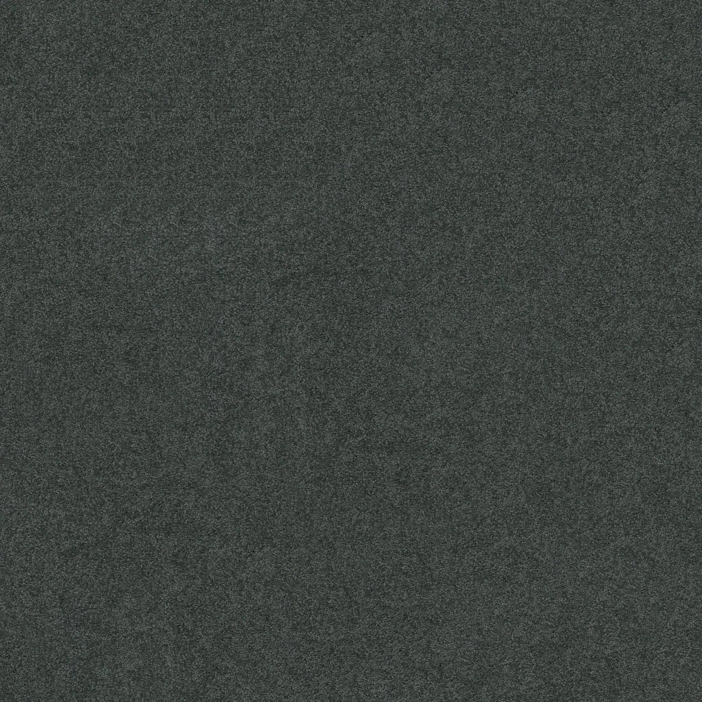 TEXTURE BCF