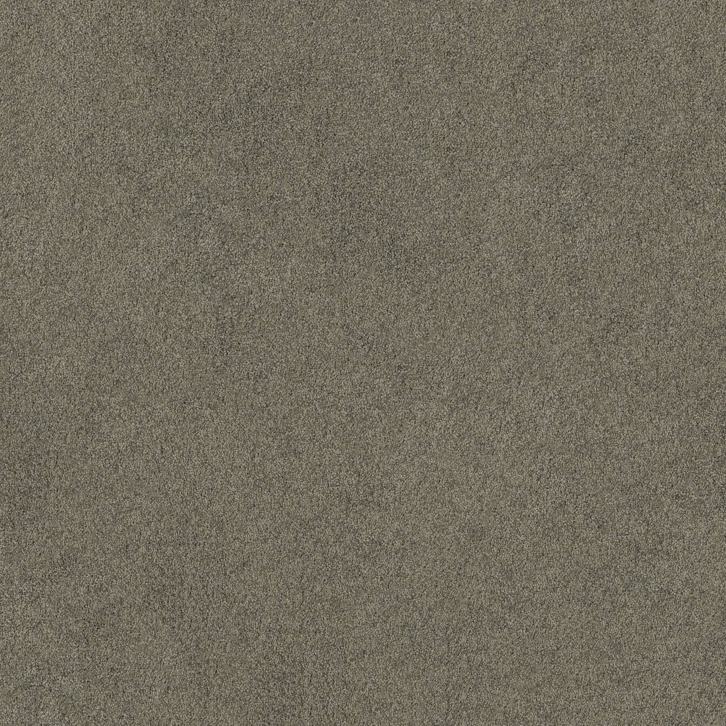 TEXTURE BCF