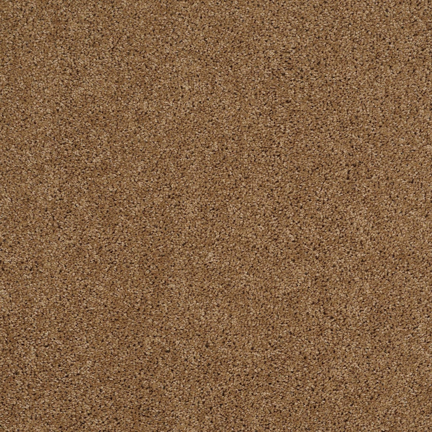 TEXTURE BCF