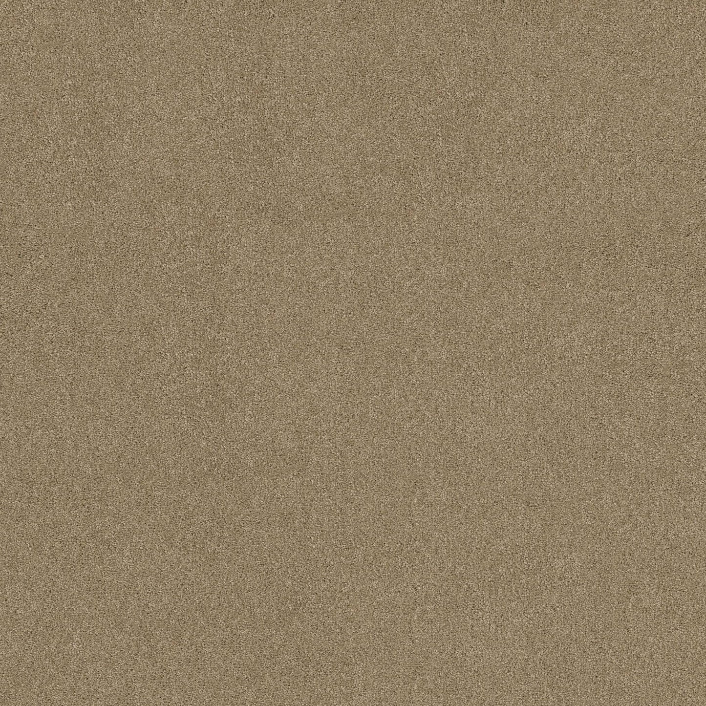 TEXTURE BCF