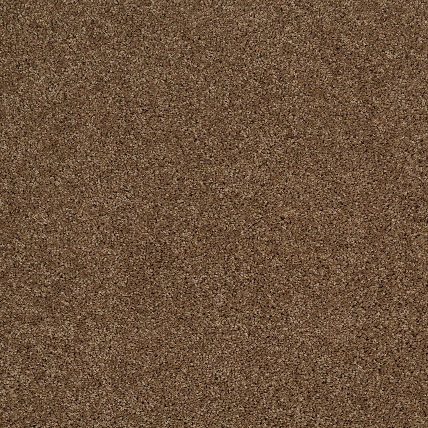 TEXTURE BCF