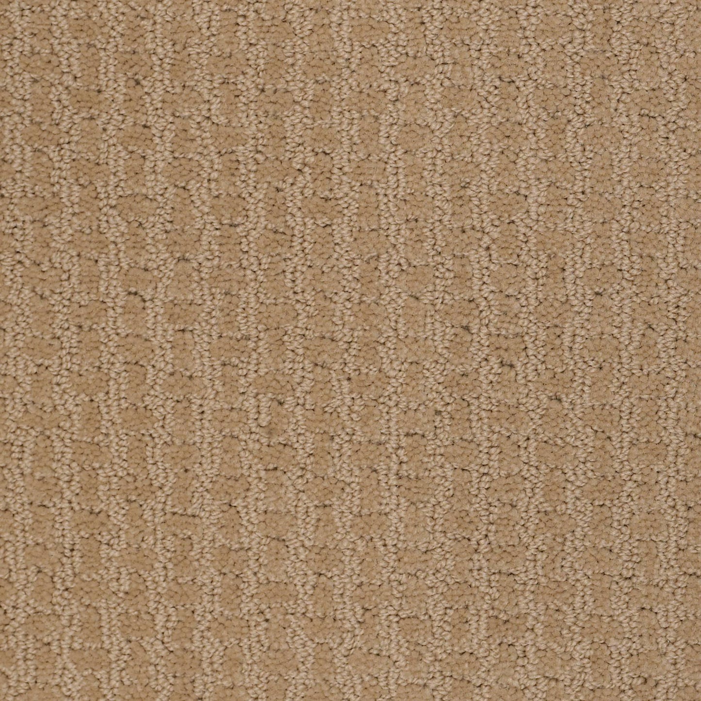 CUT UNCUT  R