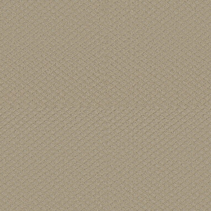 CUT UNCUT  R