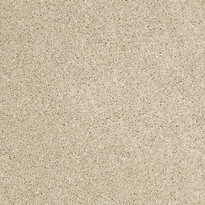 TEXTURE BCF