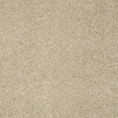 TEXTURE BCF